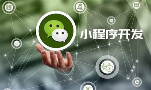 河南微諾科技程序開(kāi)發(fā)報(bào)價(jià)專業(yè)嗎